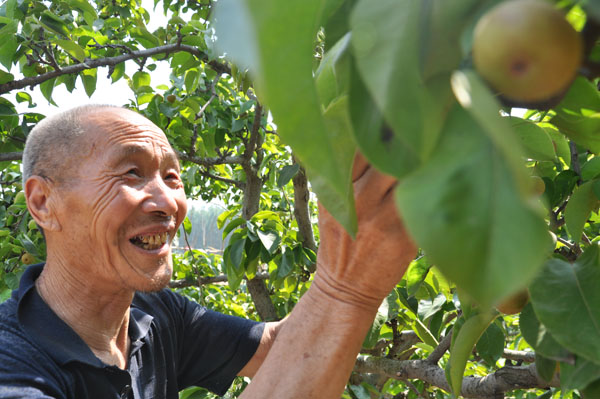 ���������Ĺ��Ӻÿ���...