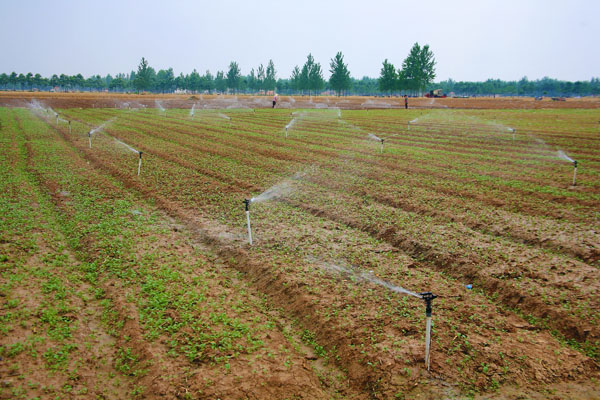 Ф����-ũ���ˮ���